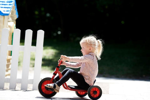 MINI Easy Rider - 3