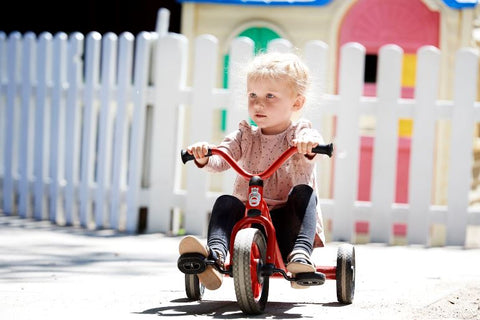 MINI Easy Rider - 5