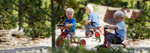 MINI Rutsch Dreirad mit Lenker - 3