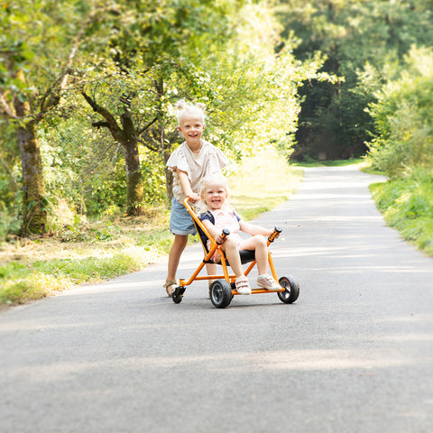 TopTrike Buggy - 10